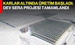 Karlar Altında Üretim Başladı: Dev Sera Projesi Tamamlandı
