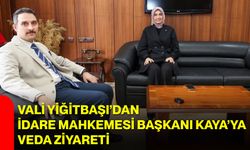 Vali Yiğitbaşı’dan İdare Mahkemesi Başkanı Kaya’ya Veda Ziyareti