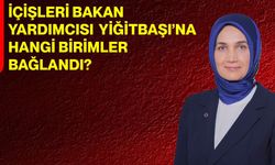 İçişleri Bakan Yardımcısı Yiğitbaşı’na Hangi Birimler Bağlandı?