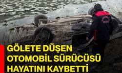 Gölete düşen otomobil sürücüsü hayatını kaybetti