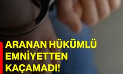 Aranan hükümlü emniyetten kaçamadı!