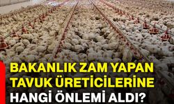 Bakanlık zam yapan tavuk üreticilerine hangi önlemi aldı?