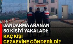 Jandarma aranan 50 kişiyi yakaladı: Kaç kişi cezaevine gönderildi?