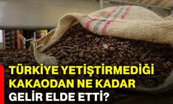 Türkiye, yetiştirmediği kakaodan ne kadar gelir elde etti?