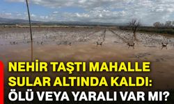 Nehir taştı mahalle sular altında kaldı: Ölü veya yaralı var mı?