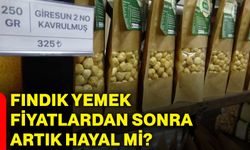 Fındık yemek fiyatlardan sonra artık hayal mi?