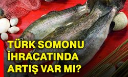 Türk somonu ihracatında artış var mı?