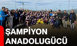 Şampiyon Anadolugücü