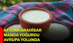 Afyonkarahisar Manda Yoğurdu Avrupa Yolunda