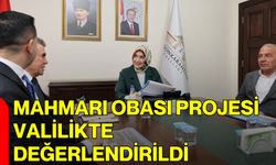 Mahmarı Obası Projesi Valilikte Değerlendirildi