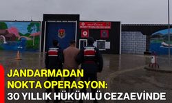 Jandarmadan Nokta Operasyon: 30 Yıllık Hükümlü Cezaevinde