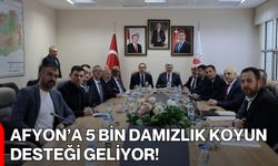 Afyon’a 5 Bin Damızlık Koyun Desteği Geliyor!