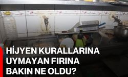 Hijyen Kurallarına Uymayan Fırına Bakın Ne Oldu?