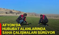 Afyon’da Hububat Alanlarında Saha Çalışmaları Sürüyor