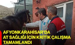 Afyonkarahisar’da At Sağlığı İçin Kritik Çalışma Tamamlandı