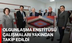 Olgunlaşma Enstitüsü Çalışmaları Yakından Takip Edildi