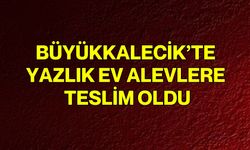 Büyükkalecik’te yazlık ev alevlere teslim oldu