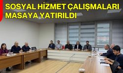 Sosyal Hizmet Çalışmaları Masaya Yatırıldı