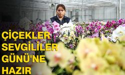 Çiçekler Sevgililer Günü'ne hazır