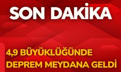 4,9 Büyüklüğünde Deprem Meydana Geldi