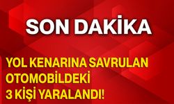 Yol Kenarına Savrulan Otomobildeki 3 Kişi Yaralandı!