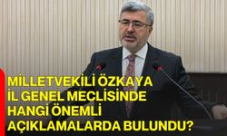 Milletvekili Özkaya İl Genel Meclisinde hangi önemli açıklamalarda bulundu?