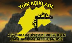 TÜİK açıkladı: Afyonkarahisar Merkez’de en kalabalık mahalle hangisi?