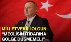 Milletvekili Olgun: “Meclisin İtibarına Gölge Düşmemeli”