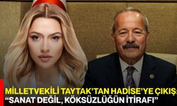 Milletvekili Taytak’tan Hadise’ye Çıkış: “Sanat Değil, Köksüzlüğün İtirafı”