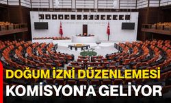 Doğum İzni Düzenlemesi Komisyon'a Geliyor