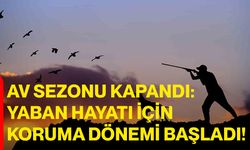 Av Sezonu Kapandı: Yaban Hayatı İçin Koruma Dönemi Başladı!