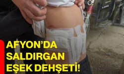 Afyon’da saldırgan eşek dehşeti!