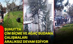 Şuhut’ta Çim Biçme ve Ağaç Budama Çalışmaları Aralıksız Devam Ediyor