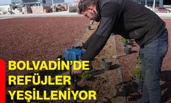 Bolvadin’de Refüjler Yeşilleniyor