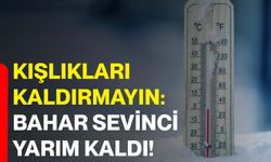 Kışlıkları kaldırmayın: Bahar sevinci yarım kaldı!