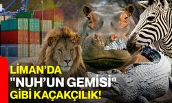 Liman’da "Nuh’un Gemisi" Gibi Kaçakçılık!