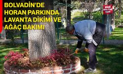 Bolvadin’de Horan Parkında Lavanta Dikimi ve Ağaç Bakımı