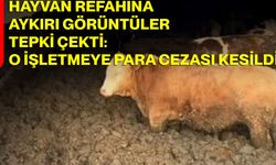 Hayvan Refahına Aykırı Görüntüler Tepki Çekti: O İşletmeye Para Cezası Kesildi