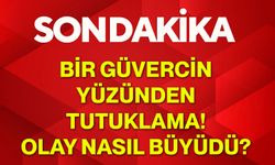 Bir Güvercin Yüzünden Tutuklama! Olay Nasıl Büyüdü?