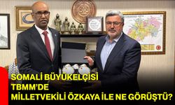 Somali Büyükelçisi TBMM’de Milletvekili Özkaya ile Ne Görüştü?