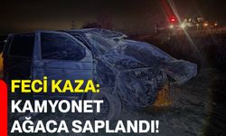 Feci kaza: Kamyonet ağaca saplandı!