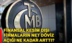 Finansal kesim dışı firmaların net döviz açığı ne kadar arttı?