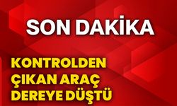 Kontrolden çıkan araç dereye düştü