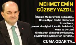 Mehmet Emin Güzbey yazdı… İl Sağlık Müdürümüze açık çağrı…