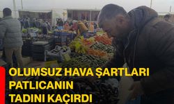 Olumsuz hava şartları patlıcanın tadını kaçırdı