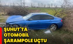 Şuhut’ta otomobil şarampole uçtu