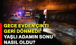 Gece evden çıktı, geri dönmedi: Yaşlı adamın sonu nasıl oldu?