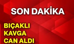 Bıçaklı kavga can aldı