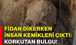 Fidan dikerken insan kemikleri çıktı: Korkutan bulgu!