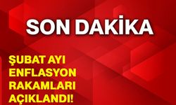 Şubat ayı enflasyon rakamları açıklandı!